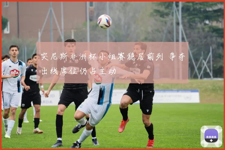 突尼斯非洲杯小组赛稳居前列 争夺出线席位仍占主动