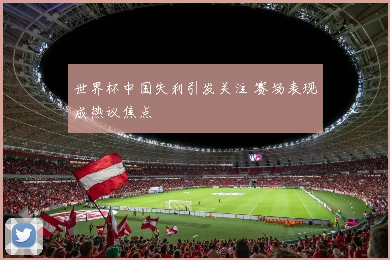 世界杯中国失利引发关注 赛场表现成热议焦点