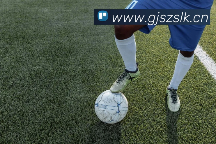 mksports在线登录入口平台生态图